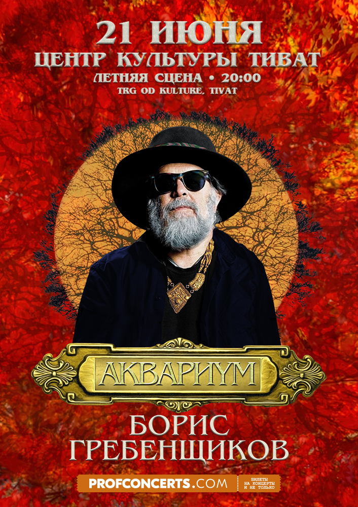 Концерт Бориса Гребенщикова